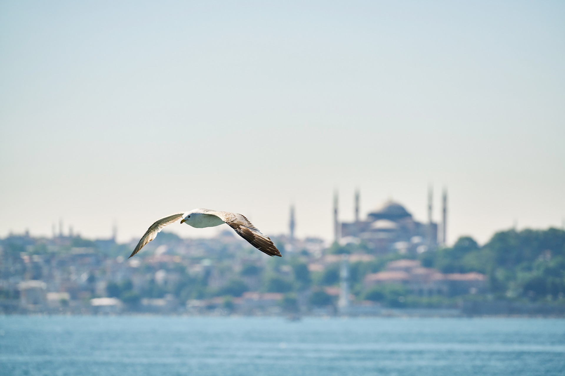 iletişim banner